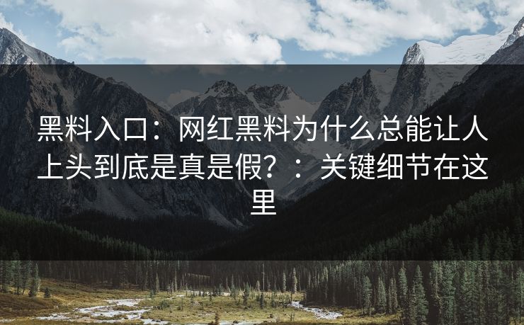 黑料入口：网红黑料为什么总能让人上头到底是真是假？：关键细节在这里