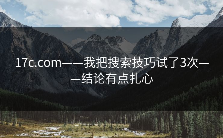 17c.com——我把搜索技巧试了3次——结论有点扎心