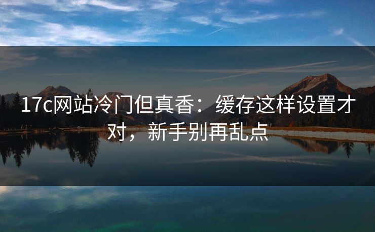 17c网站冷门但真香：缓存这样设置才对，新手别再乱点