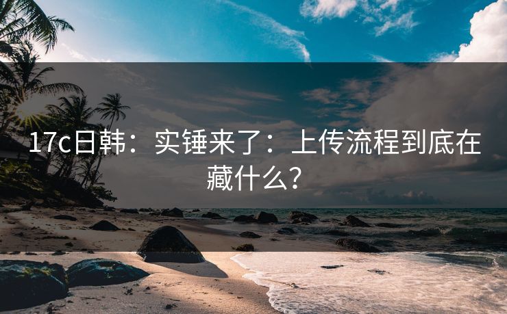 17c日韩：实锤来了：上传流程到底在藏什么？
