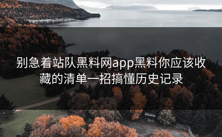 别急着站队黑料网app黑料你应该收藏的清单一招搞懂历史记录